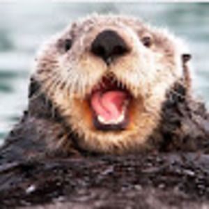 Meet your Posher, Conner